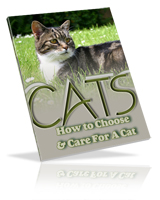 Cat care ebook